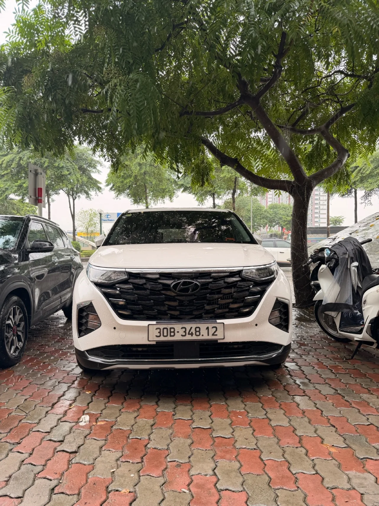 Thuê xe tự lái Hyundai Palisade 2025