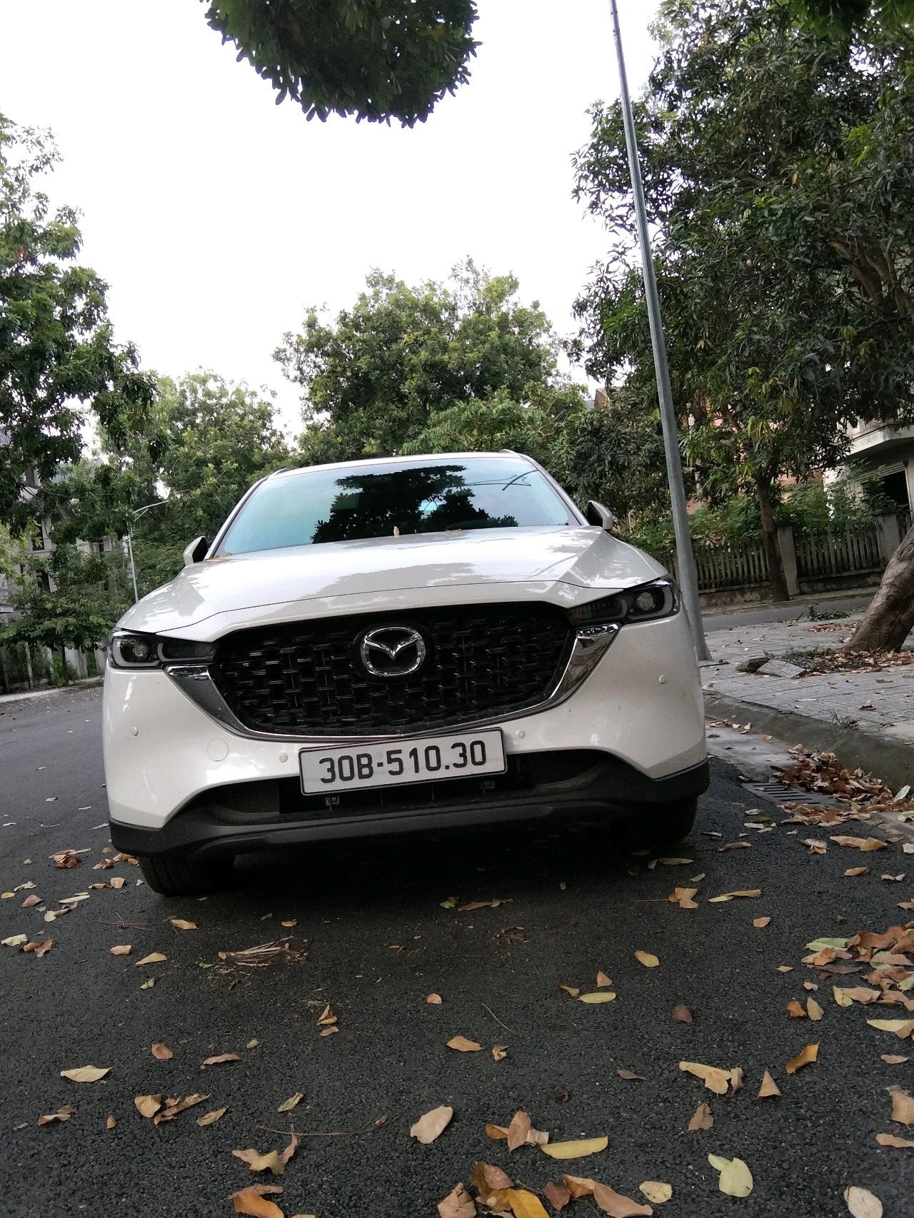 Mazda