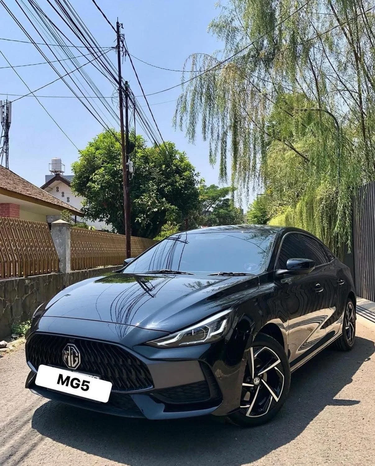 MG