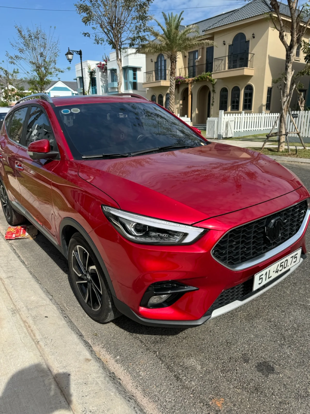 MG