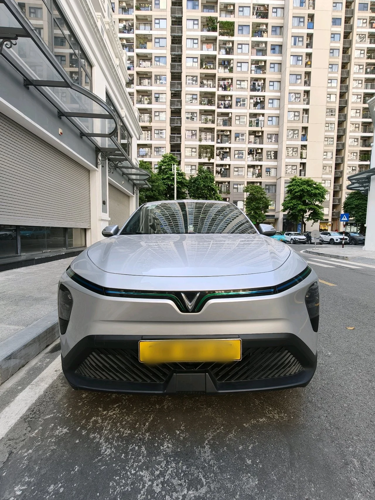 VinFast Limo Green