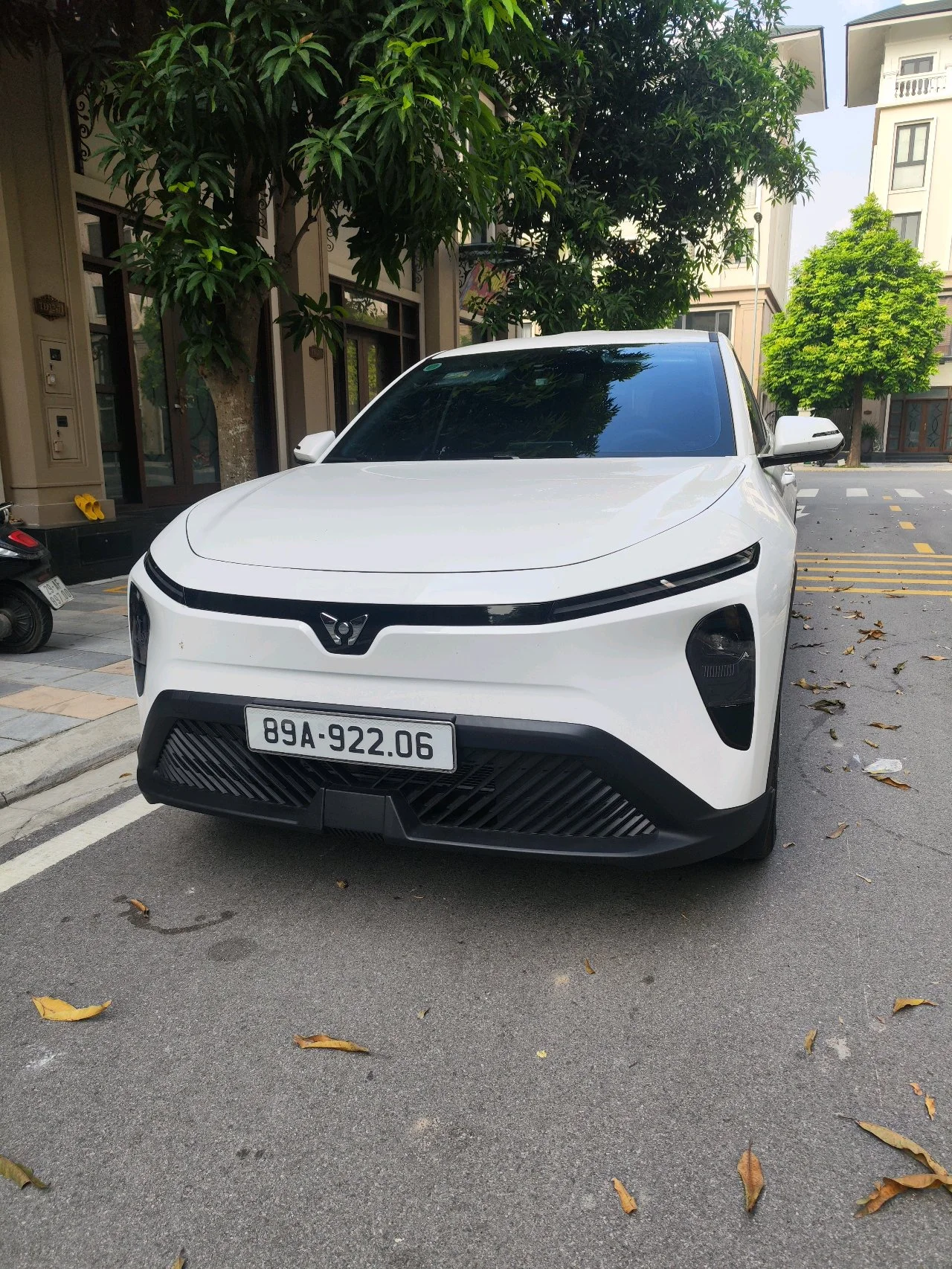 Thuê xe tự lái VinFast Limo Green 2026