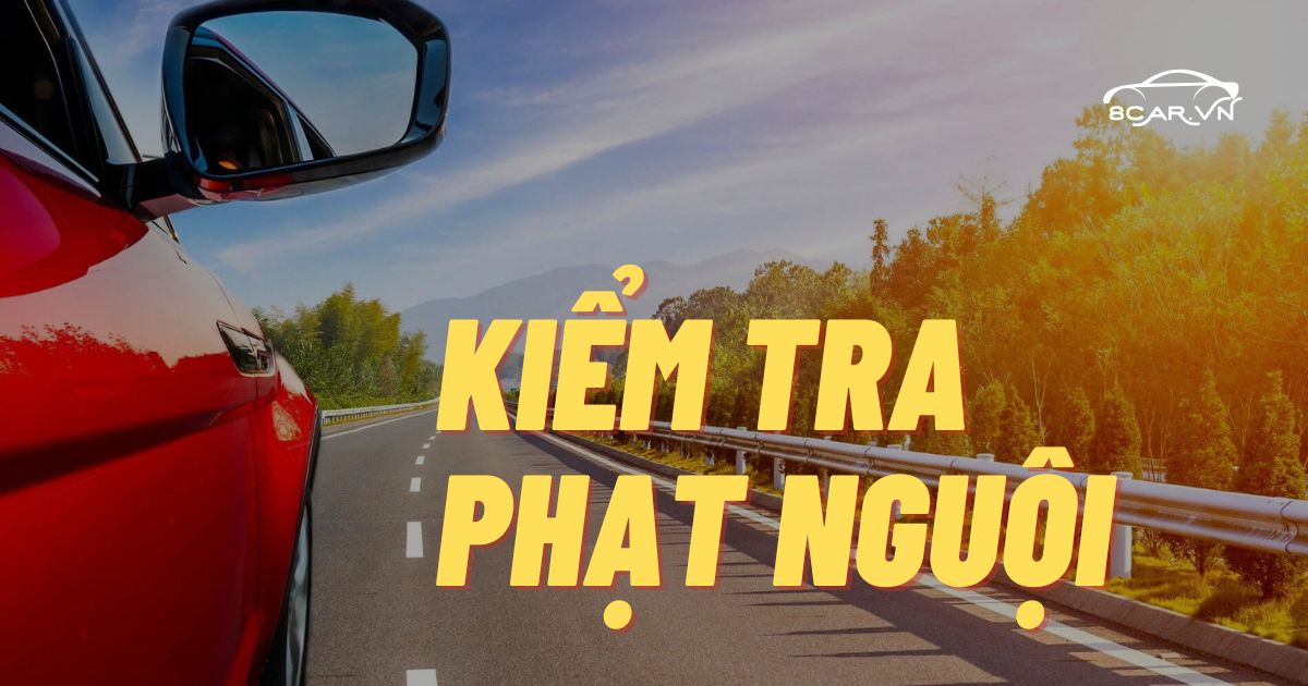 Vì sao chủ xe nên tra cứu phạt nguội trước khi đi đăng kiểm?