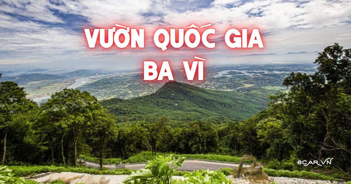 Vườn Quốc Gia Ba Vì – Điểm Du Lịch Gần Hà Nội Lãng Mạn Cho Các Cặp Đôi Muốn Trốn Phố