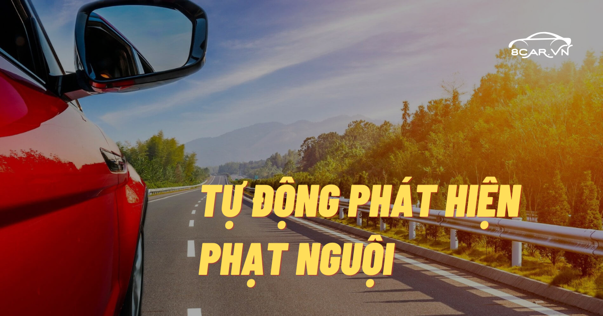Tự động cảnh báo phạt nguội mỗi ngày – Chủ xe yên tâm hơn khi không phải kiểm tra thường xuyên