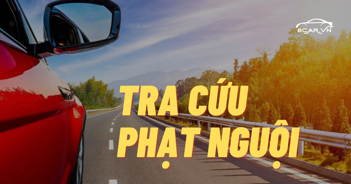 Tra cứu phạt nguội – Việc bắt buộc với chủ xe cho thuê nếu không muốn “ôm rắc rối”
