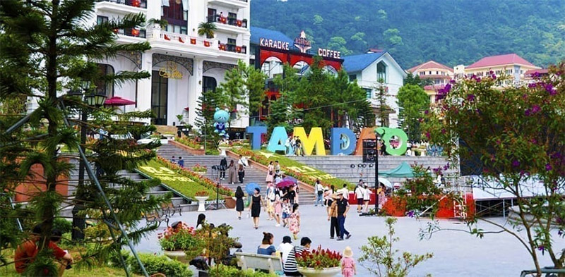 tam-dao-la-dia-diem-du-lich-gan-trung-tam-voi-khong-khi-mat-me-va-canh-quan-dep